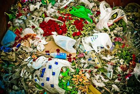 Problemas ecologicos basura