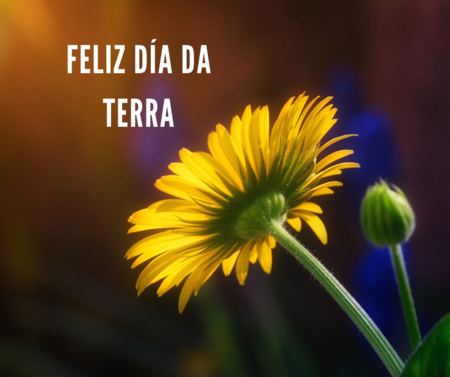 Feliz día da terra